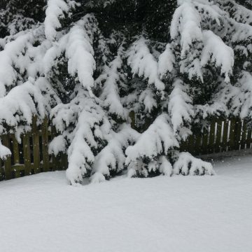 Schnee – Busverkehr eingestellt