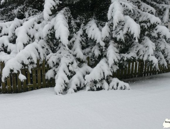 Bus-Beeinträchtigung in Ronsdorf