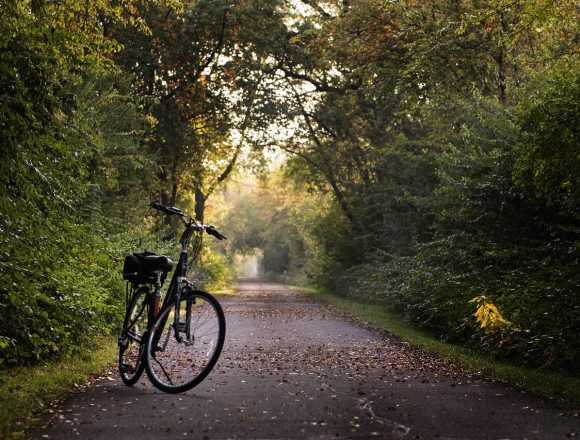 WZ: Marode Radwege an der L419 ärgern Radler
