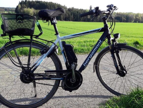 Pedelec Pedelec-Fahrer nach Sturz schwer verletzt